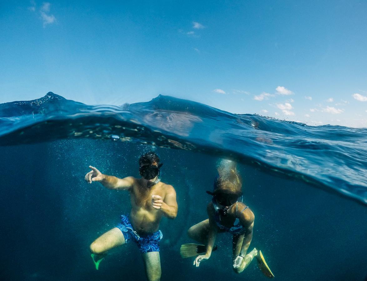 Manta Lodge & Scuba Centre Point Lookout Εξωτερικό φωτογραφία
