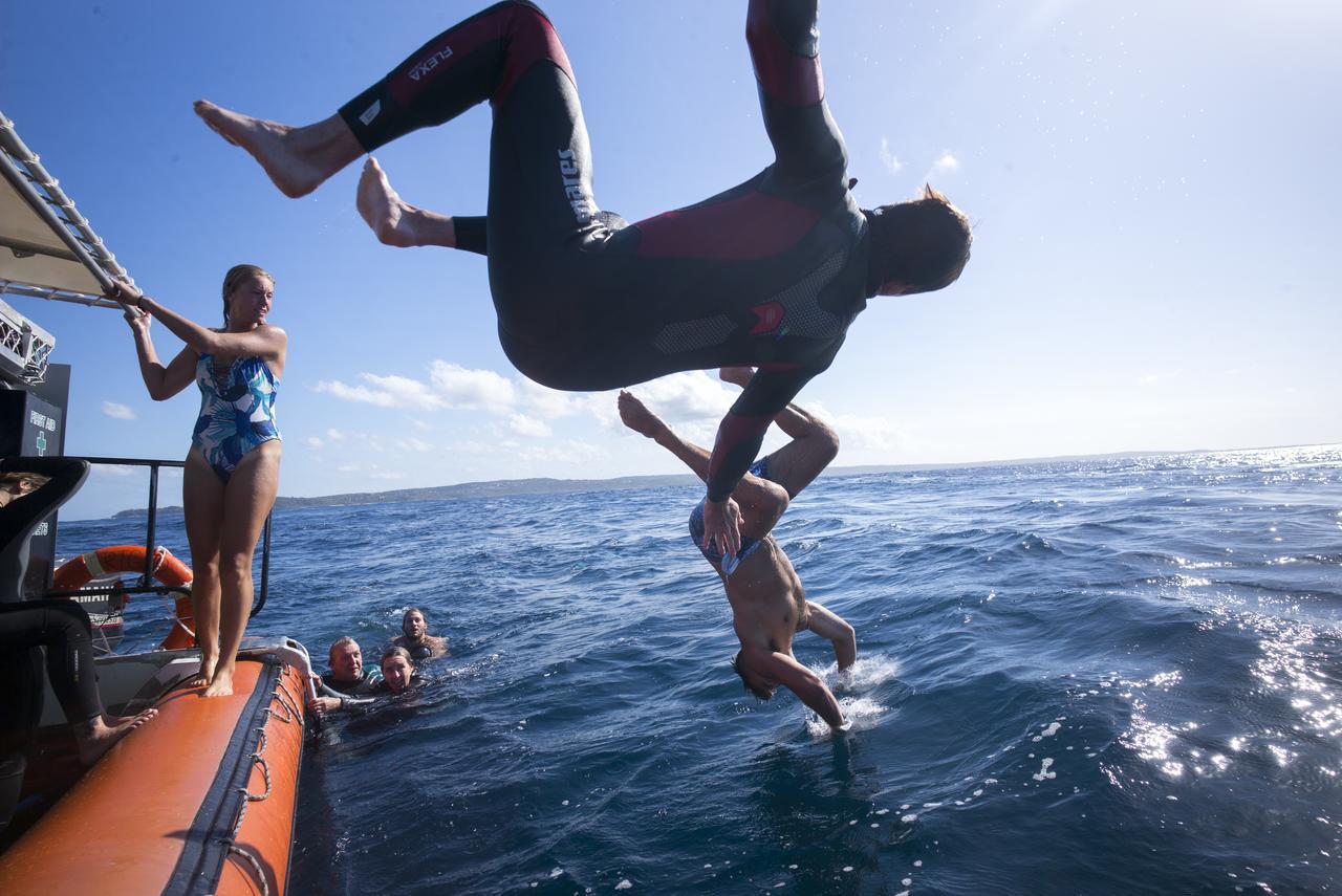 Manta Lodge & Scuba Centre Point Lookout Εξωτερικό φωτογραφία