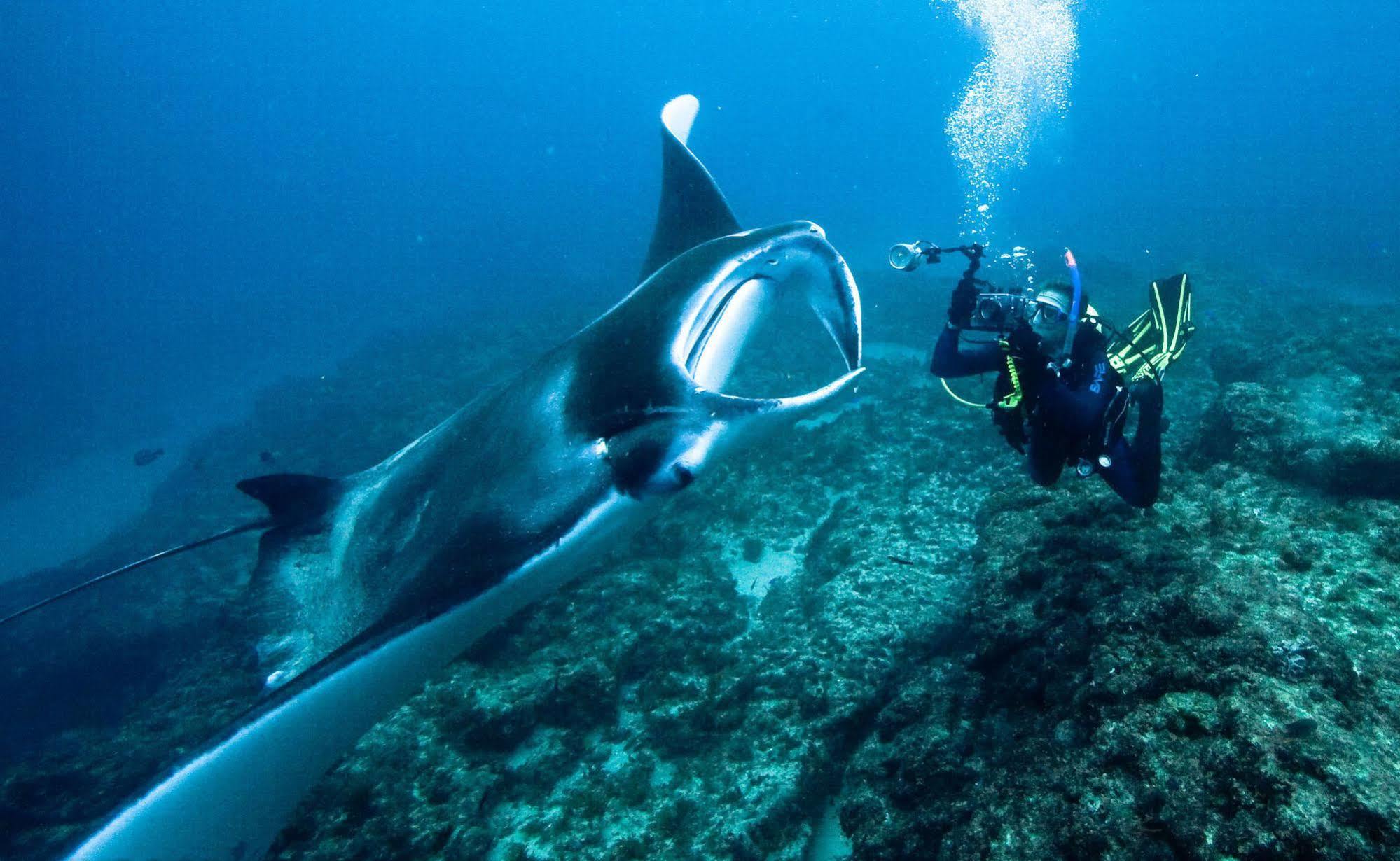 Manta Lodge & Scuba Centre Point Lookout Εξωτερικό φωτογραφία